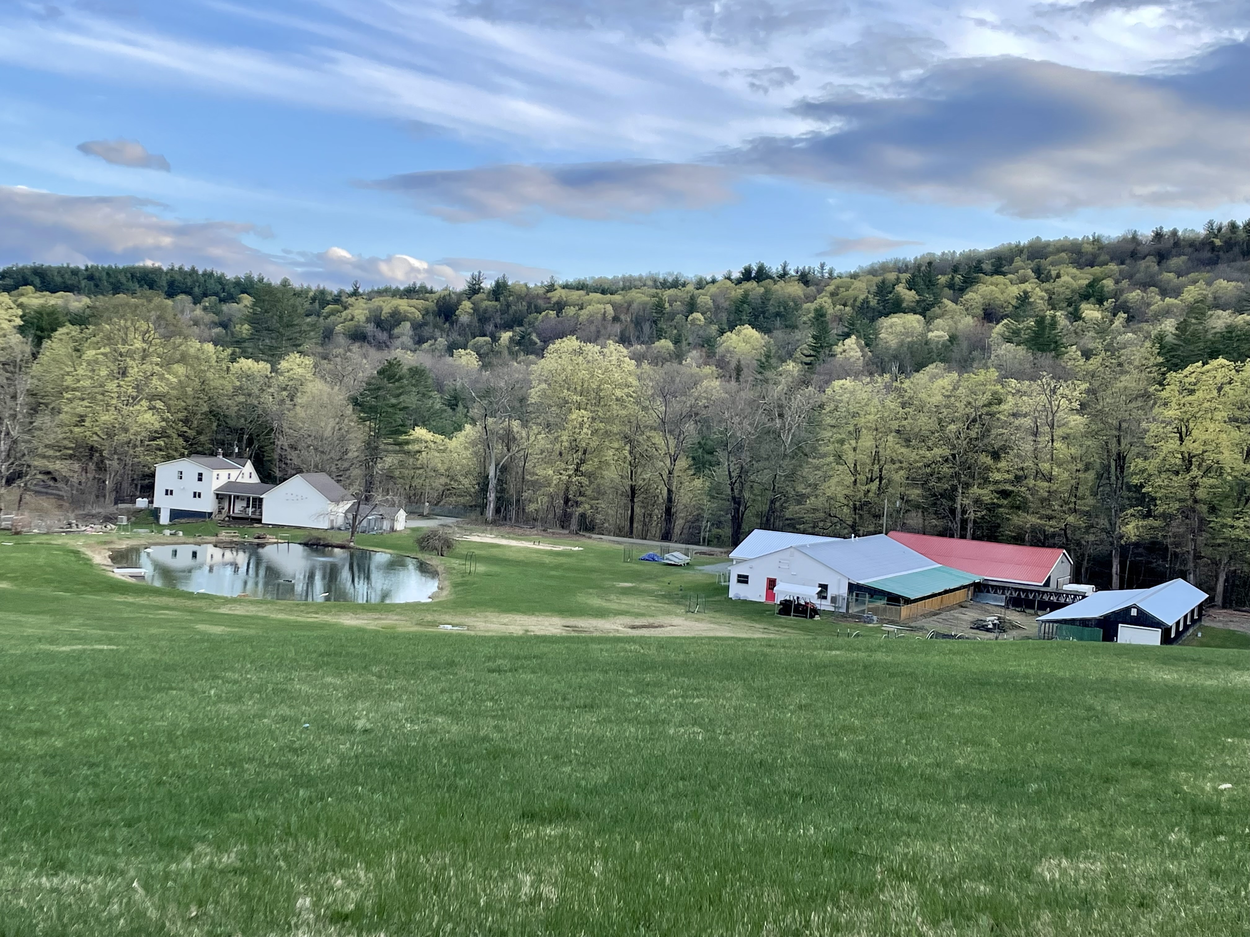 Gorgeous Farm Property with Pond, Woods, Goats, Chickens, Peacocks & Guineas