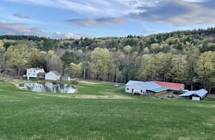 Gorgeous Farm Property with Pond, Woods, Goats, Chickens, Peacocks & Guineas