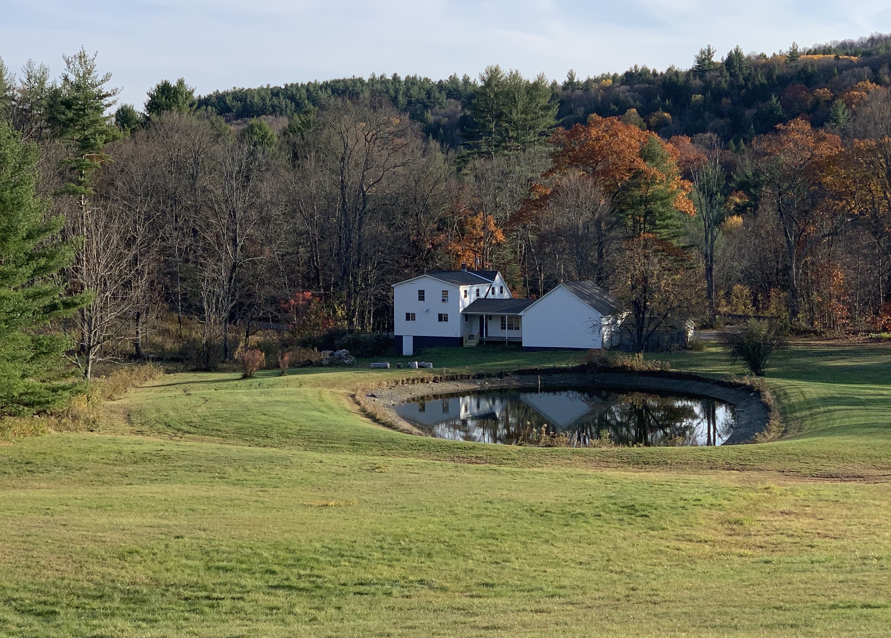 Gorgeous Farm Property with Pond, Woods, Goats, Chickens, Peacocks & Guineas