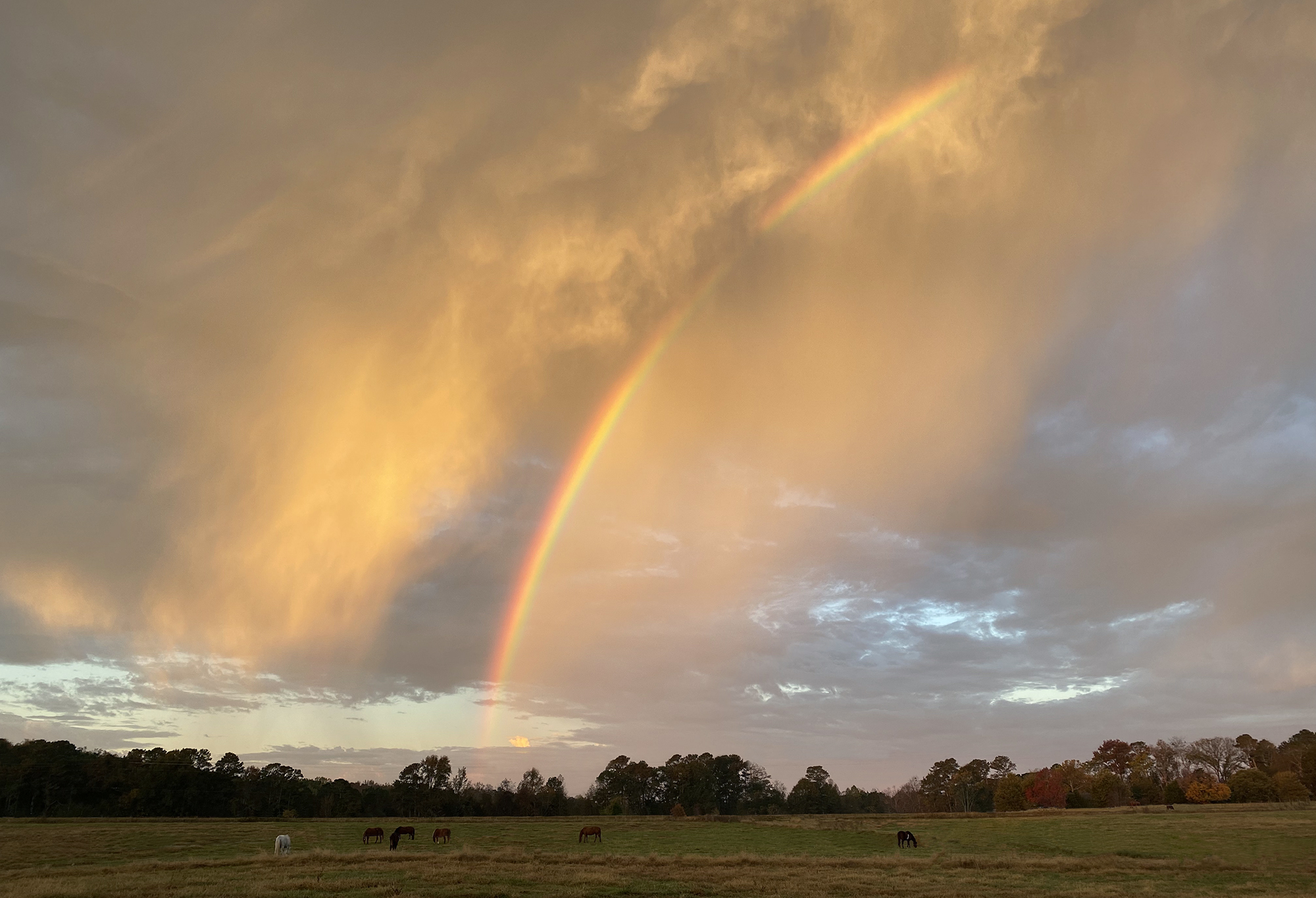 Silversea Farms: A pastoral setting minutes from Atlanta