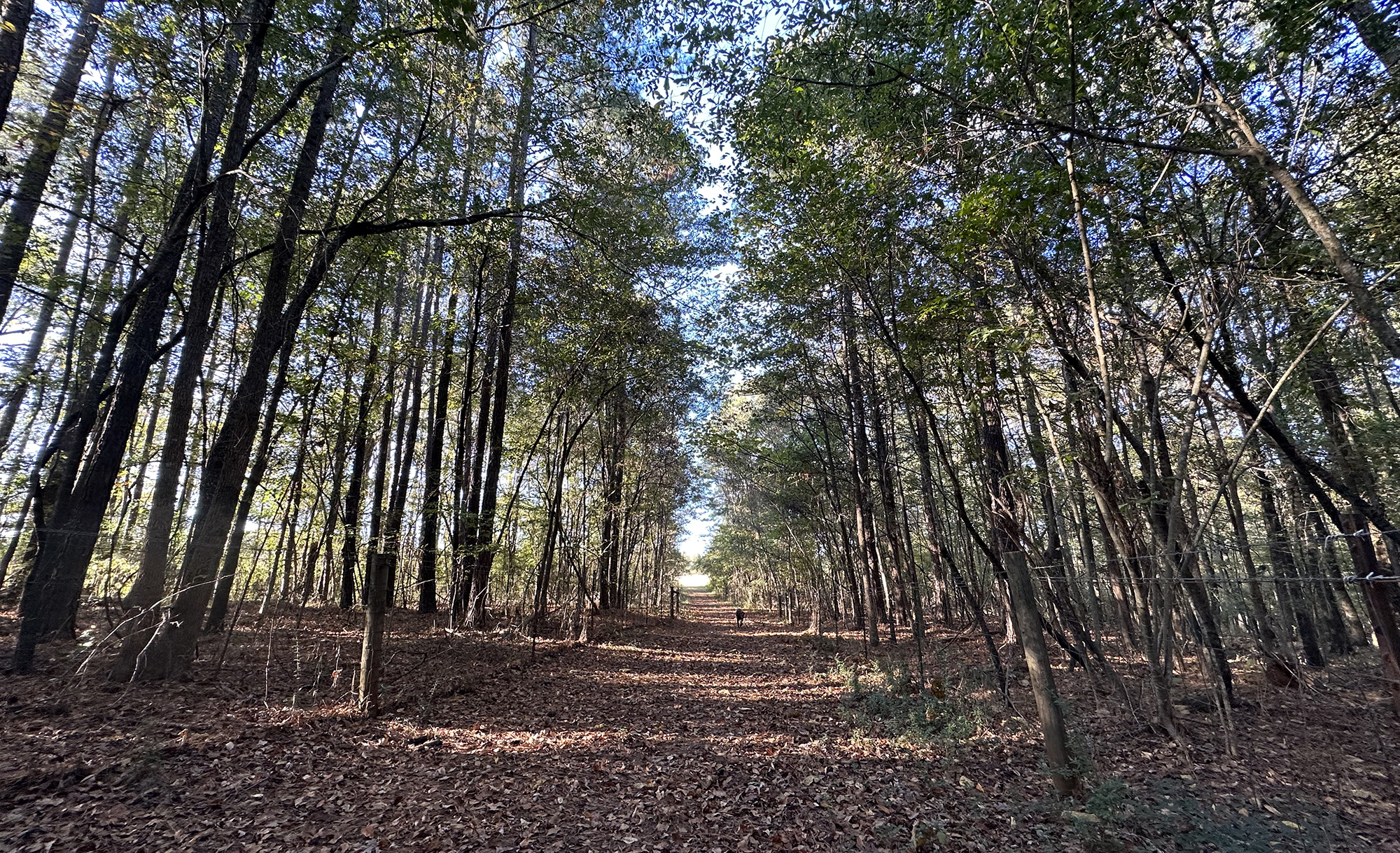 Silversea Farms: A pastoral setting minutes from Atlanta