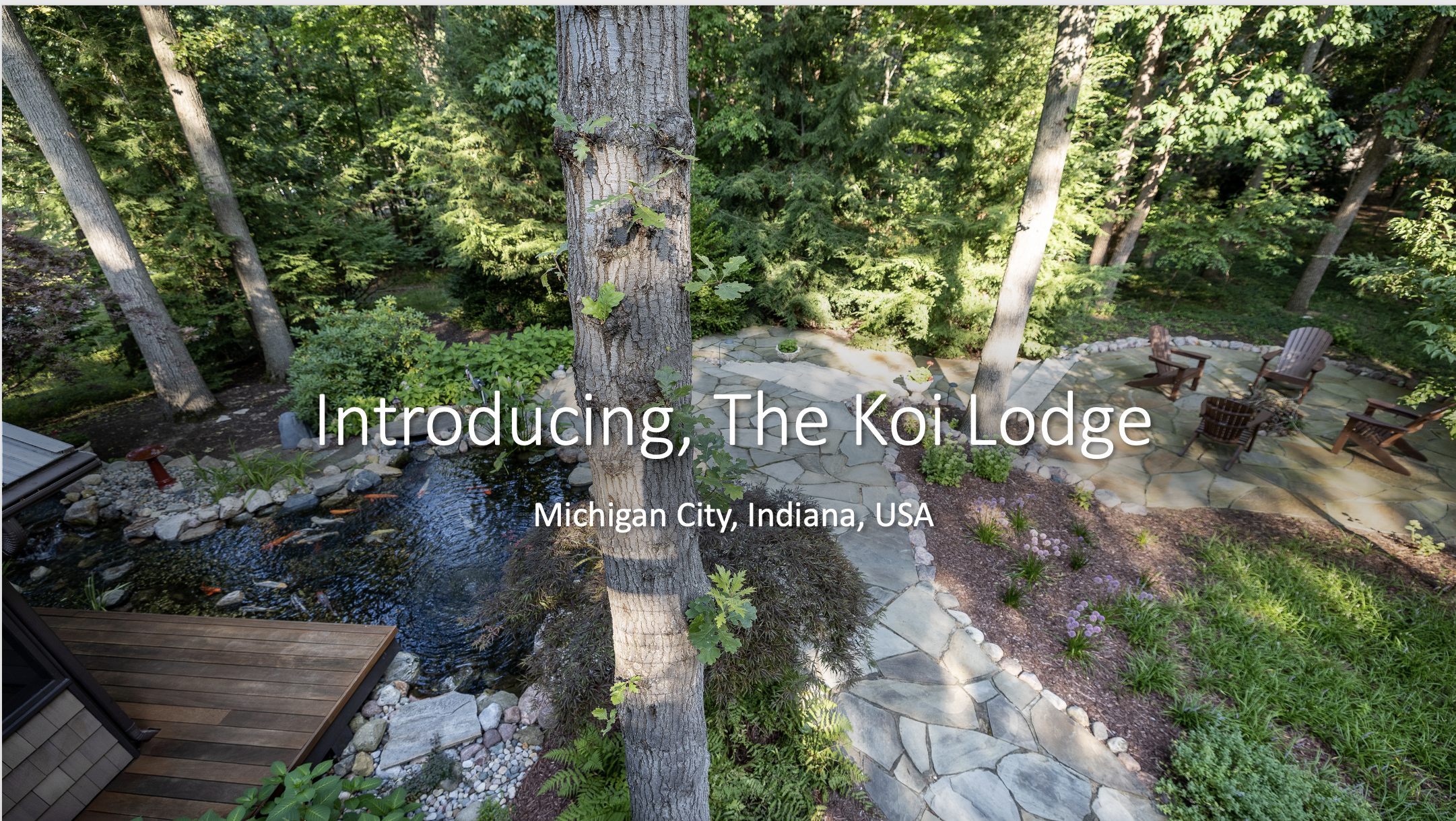 Luxury Serene Wooden Lodge