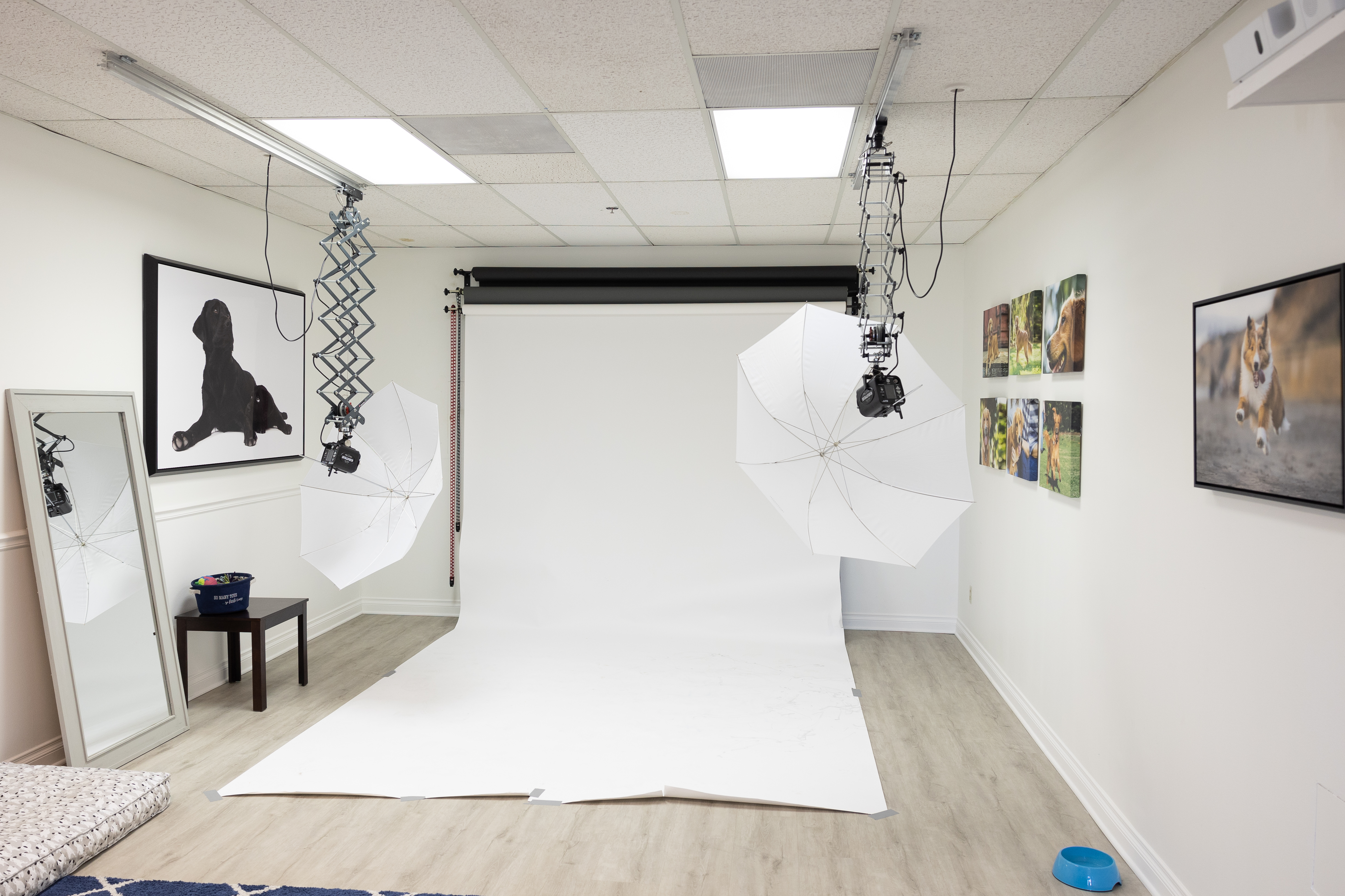 Bright Photo Studio in Rancho Bernardo w/Lights