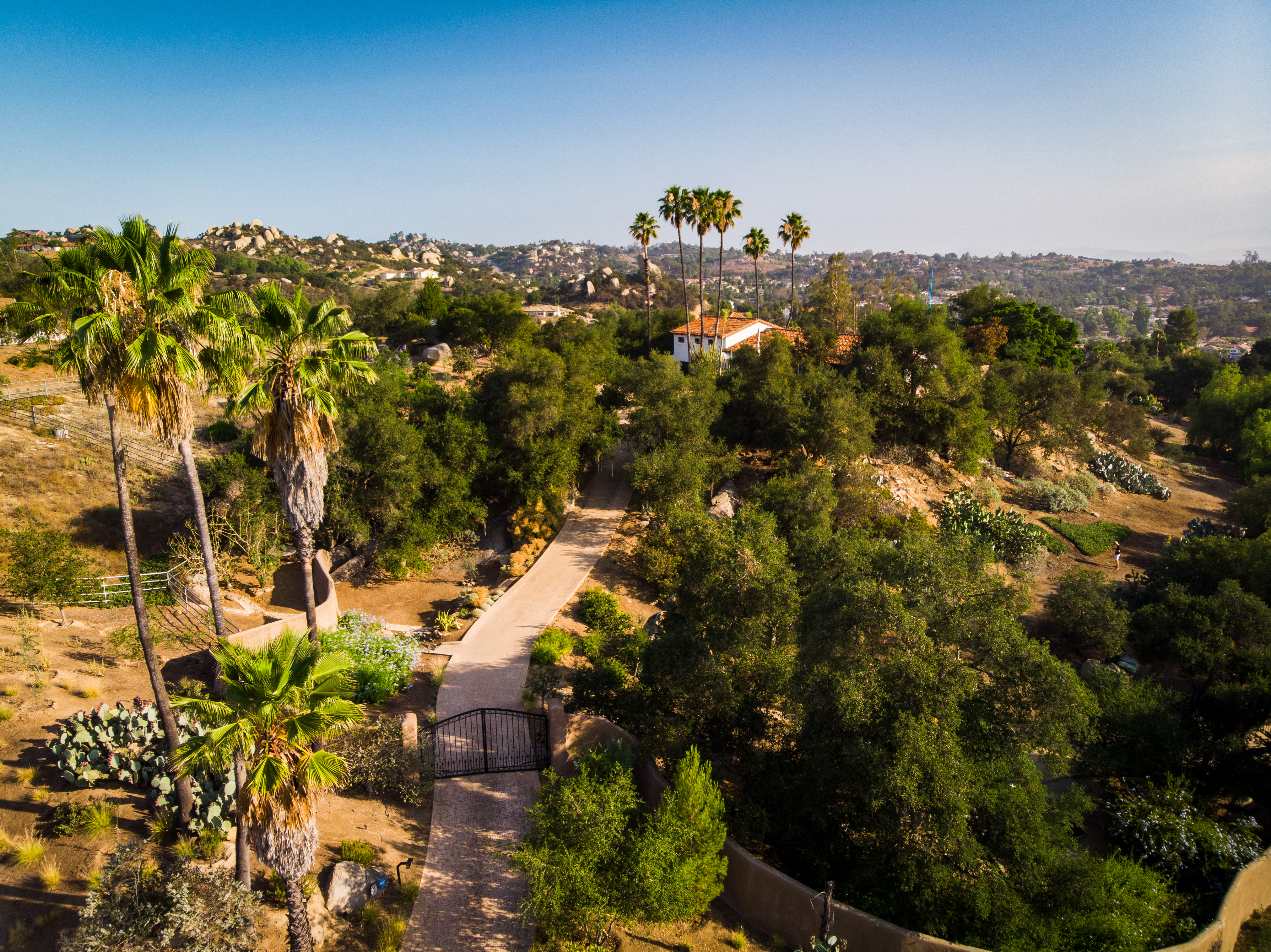 Spanish Hacienda Olive Ranch Small Vineyard in San Diego with Mountain Views