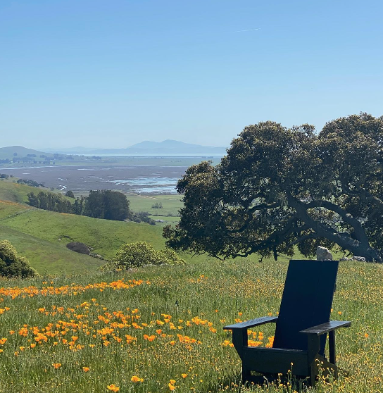 63 Acres of Nature with an 8000 sq ft Barn