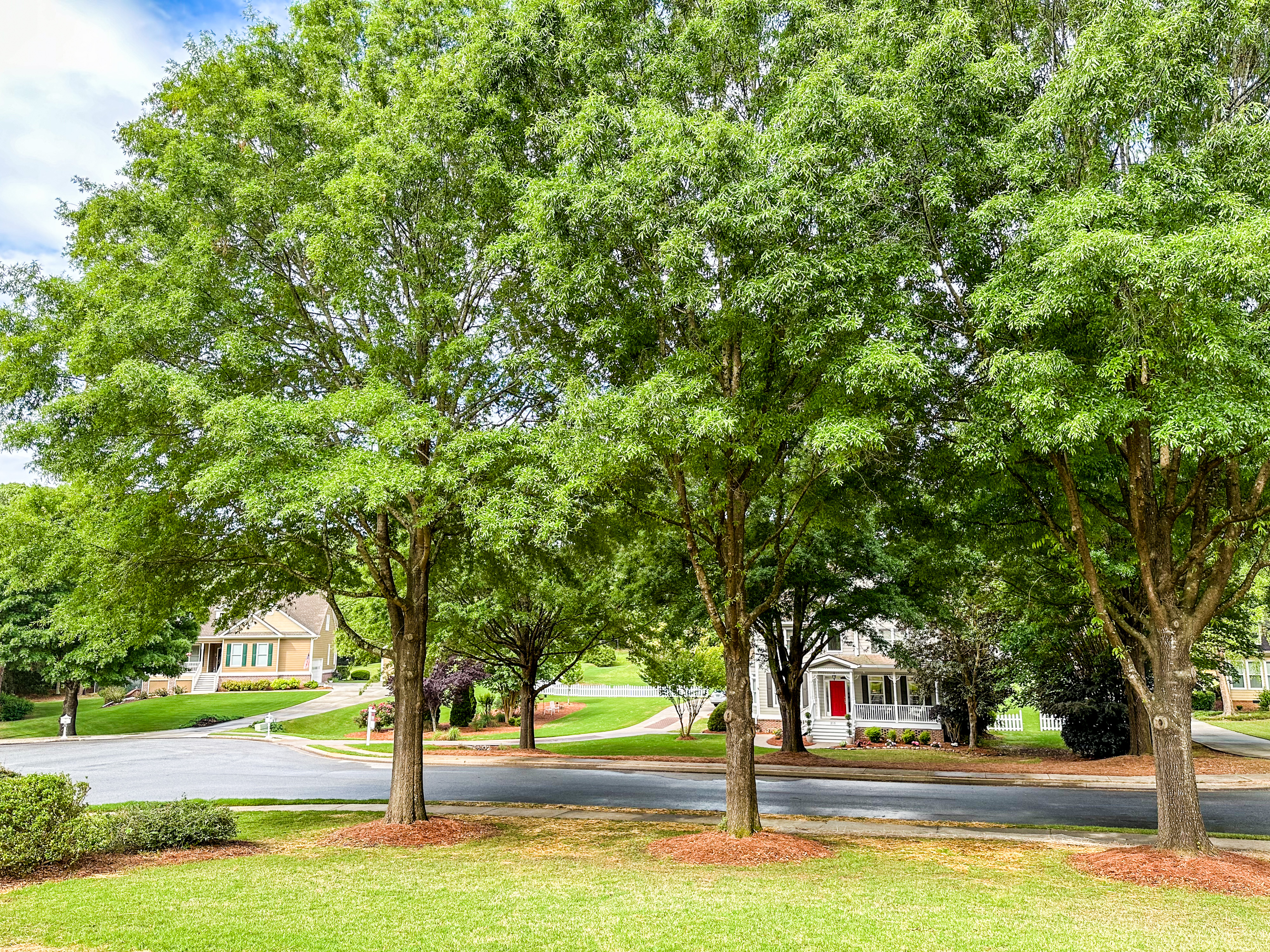 Large Colonial Home on Cul-De-Sac 1.5 miles from Trilith Studios Featured on HGTV with Porch and 1 Acre