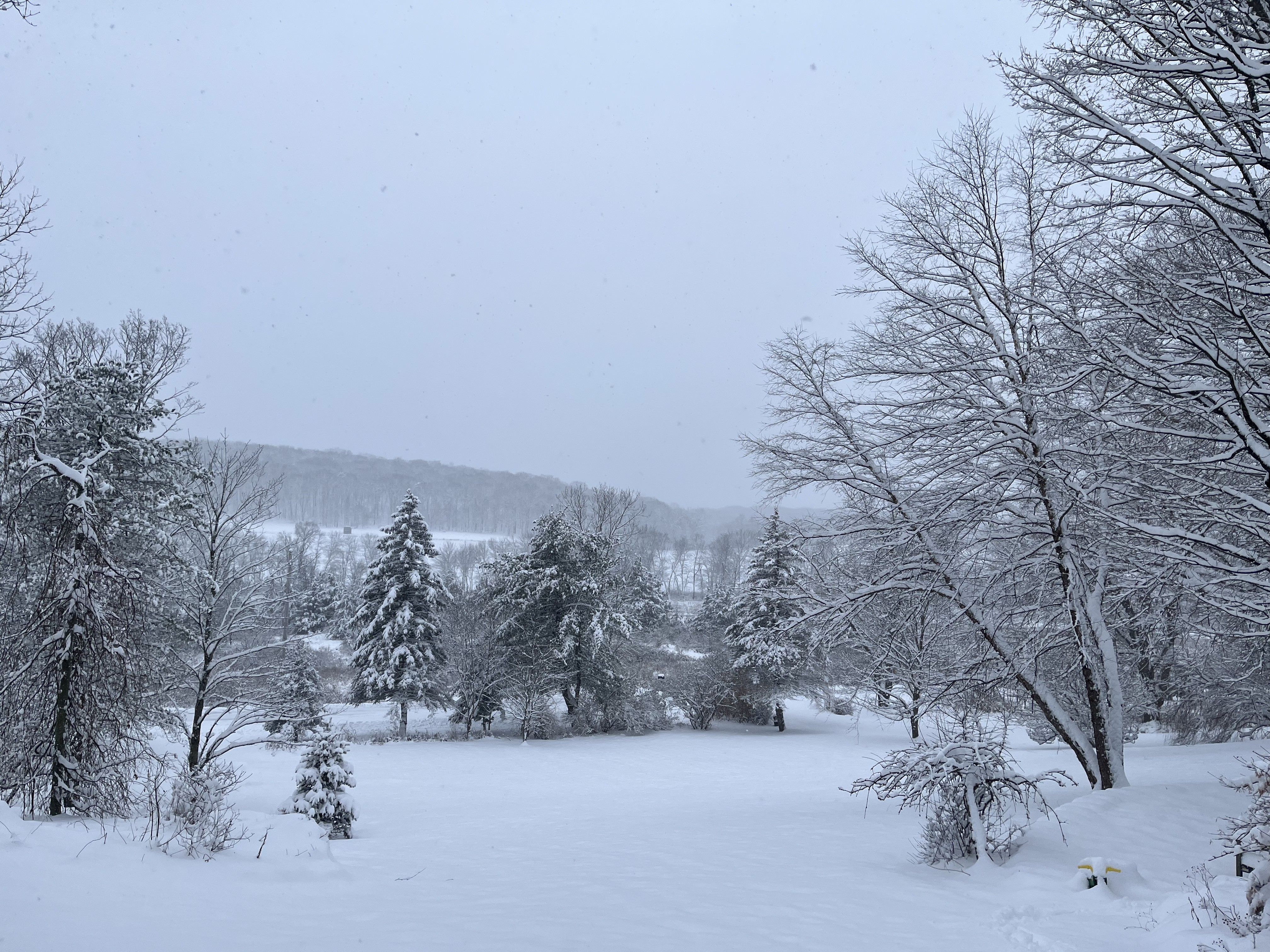 Secluded Farmhouse on 17 Acres, Upstate NY