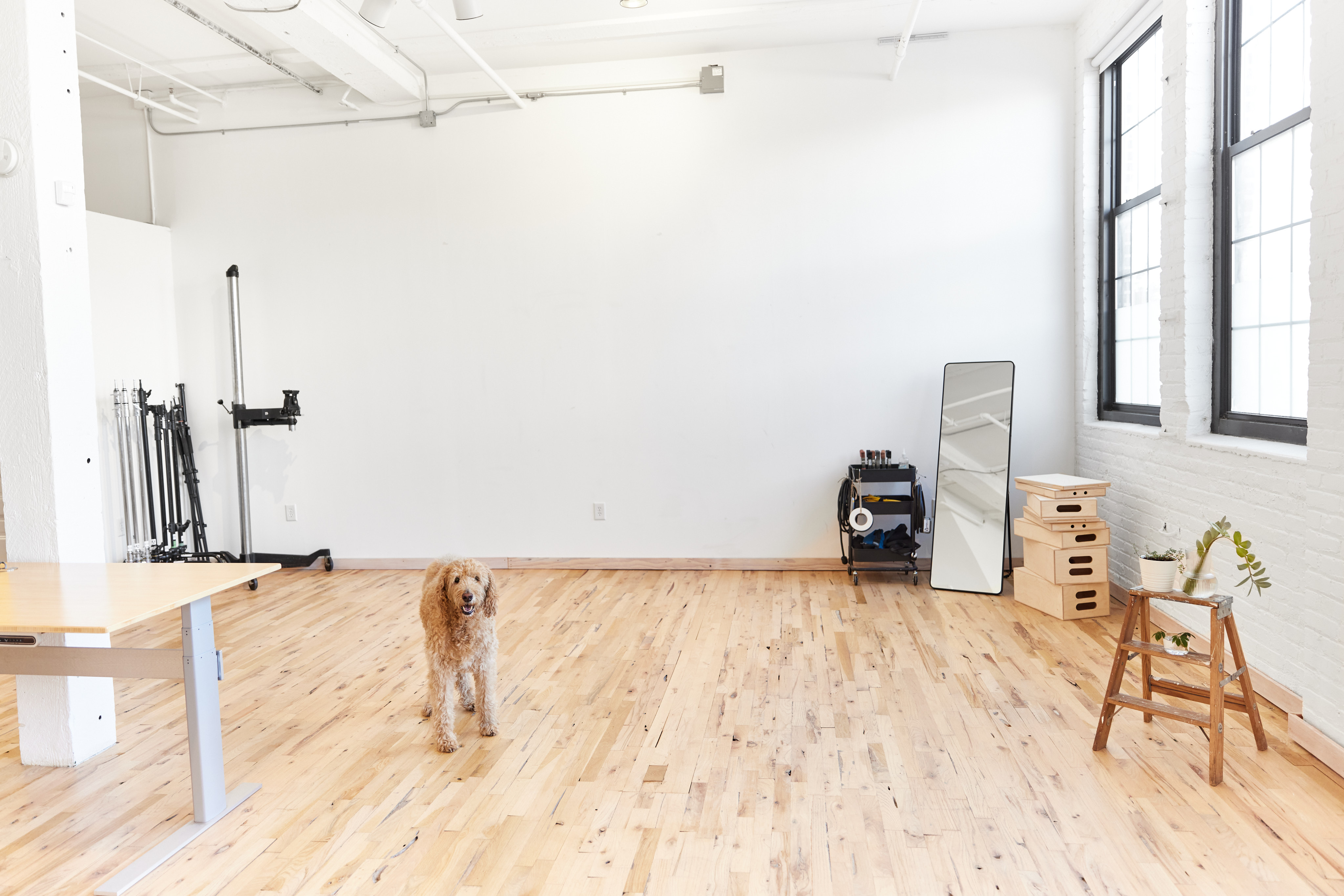 Photo Studio in NE Minneapolis with Kitchen