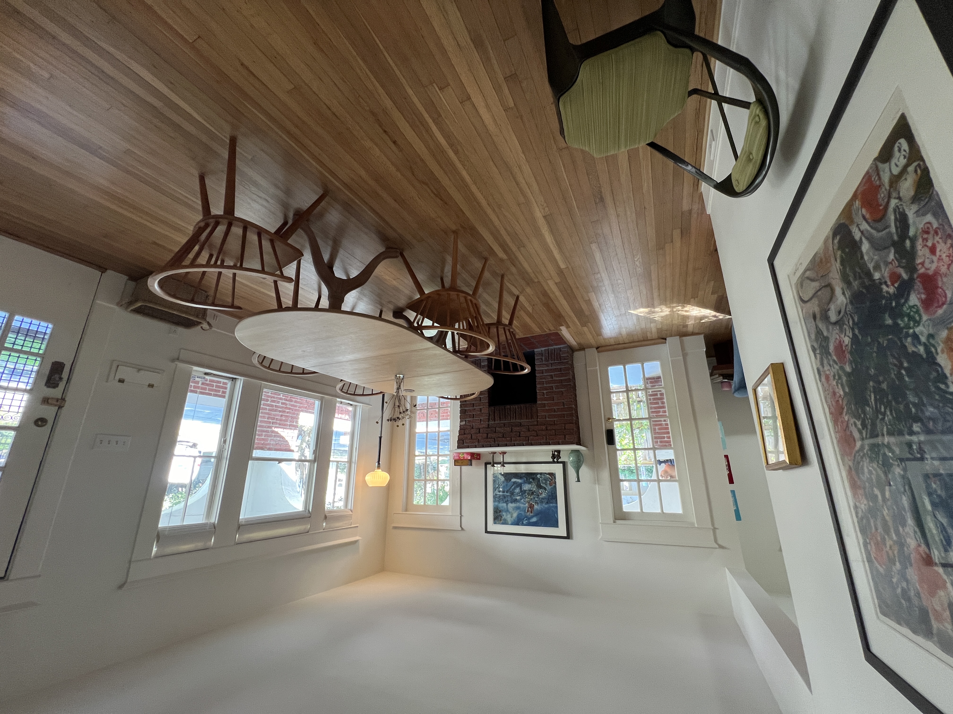 Museum District Buny