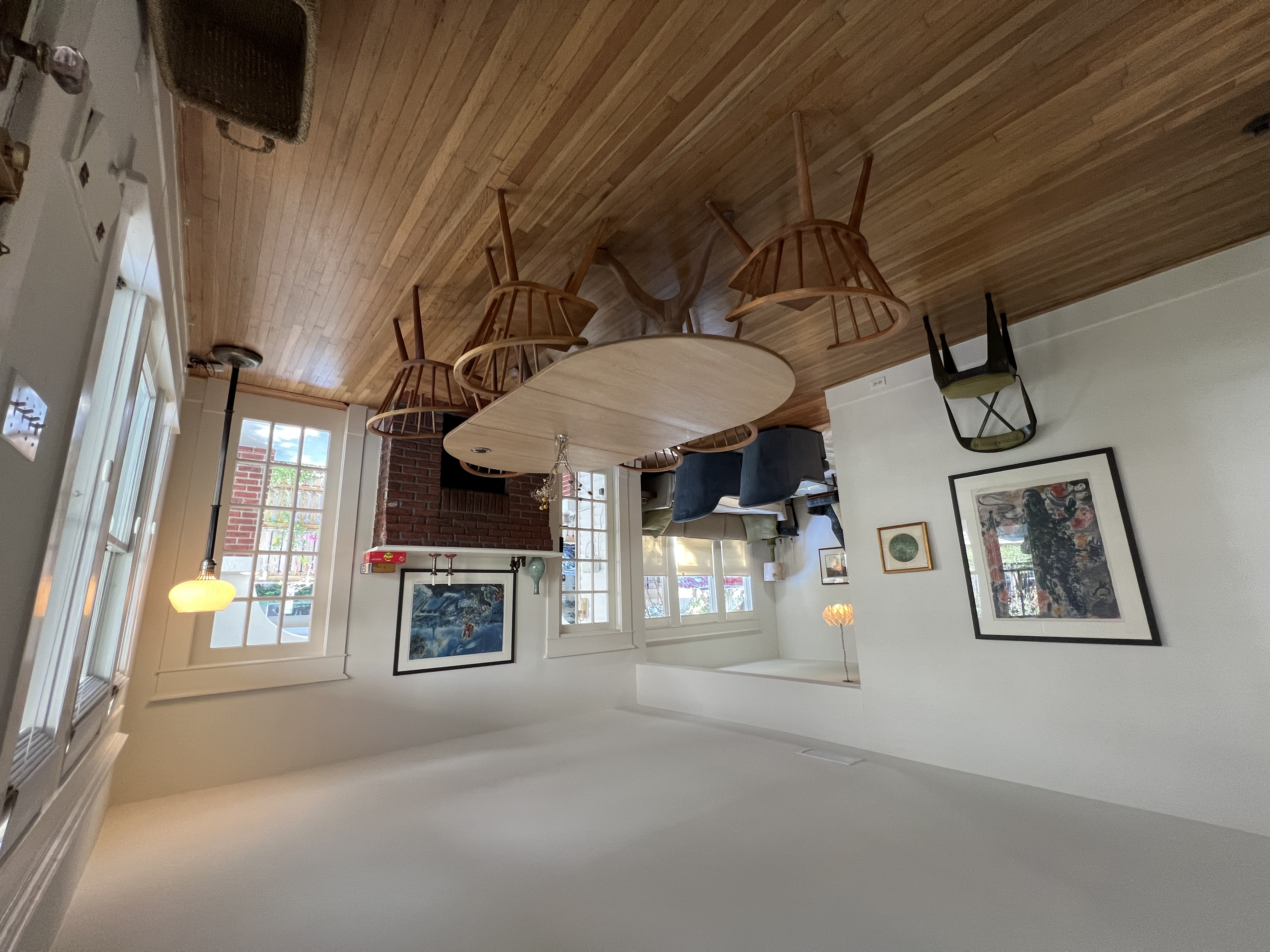 Museum District Buny