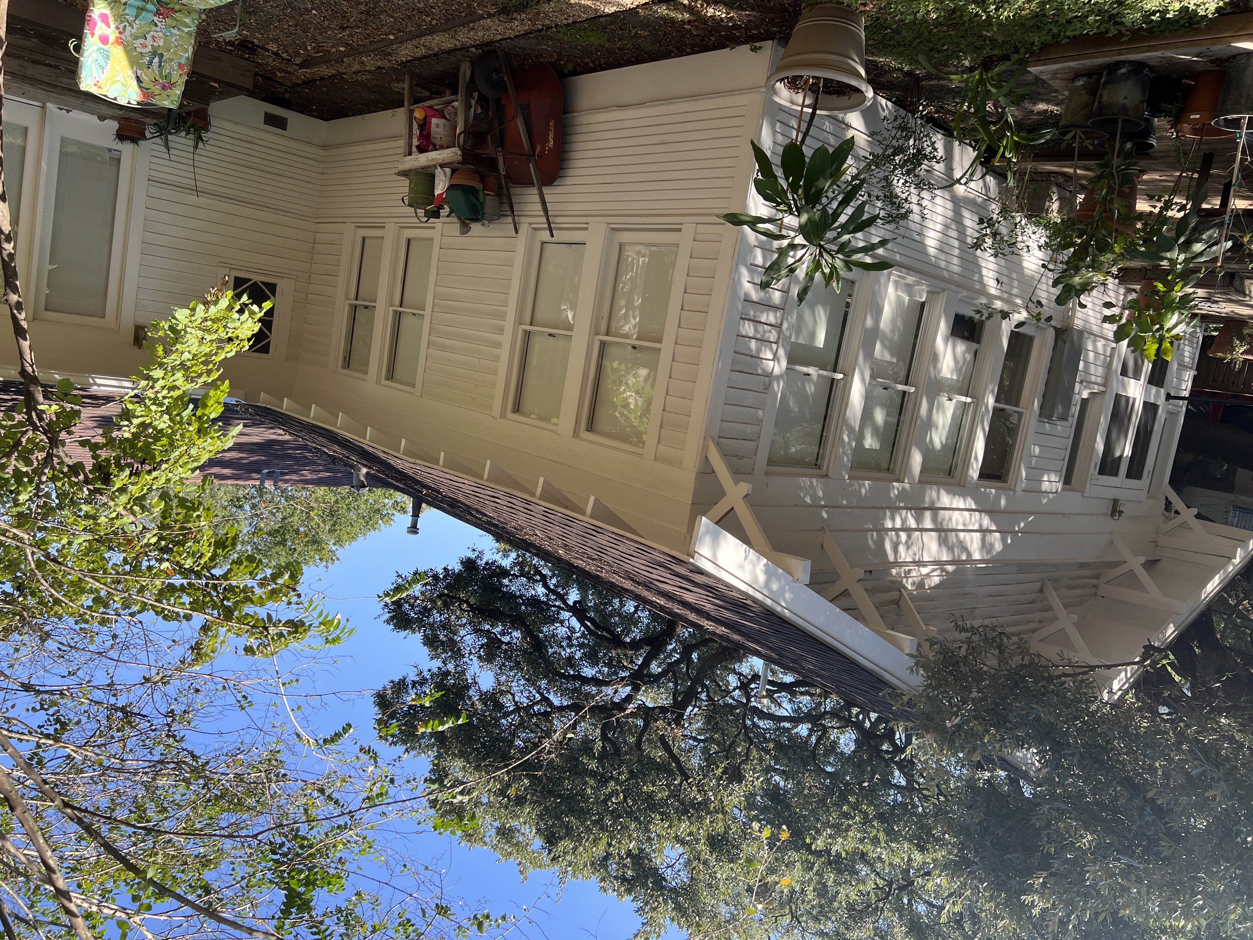 Museum District Buny