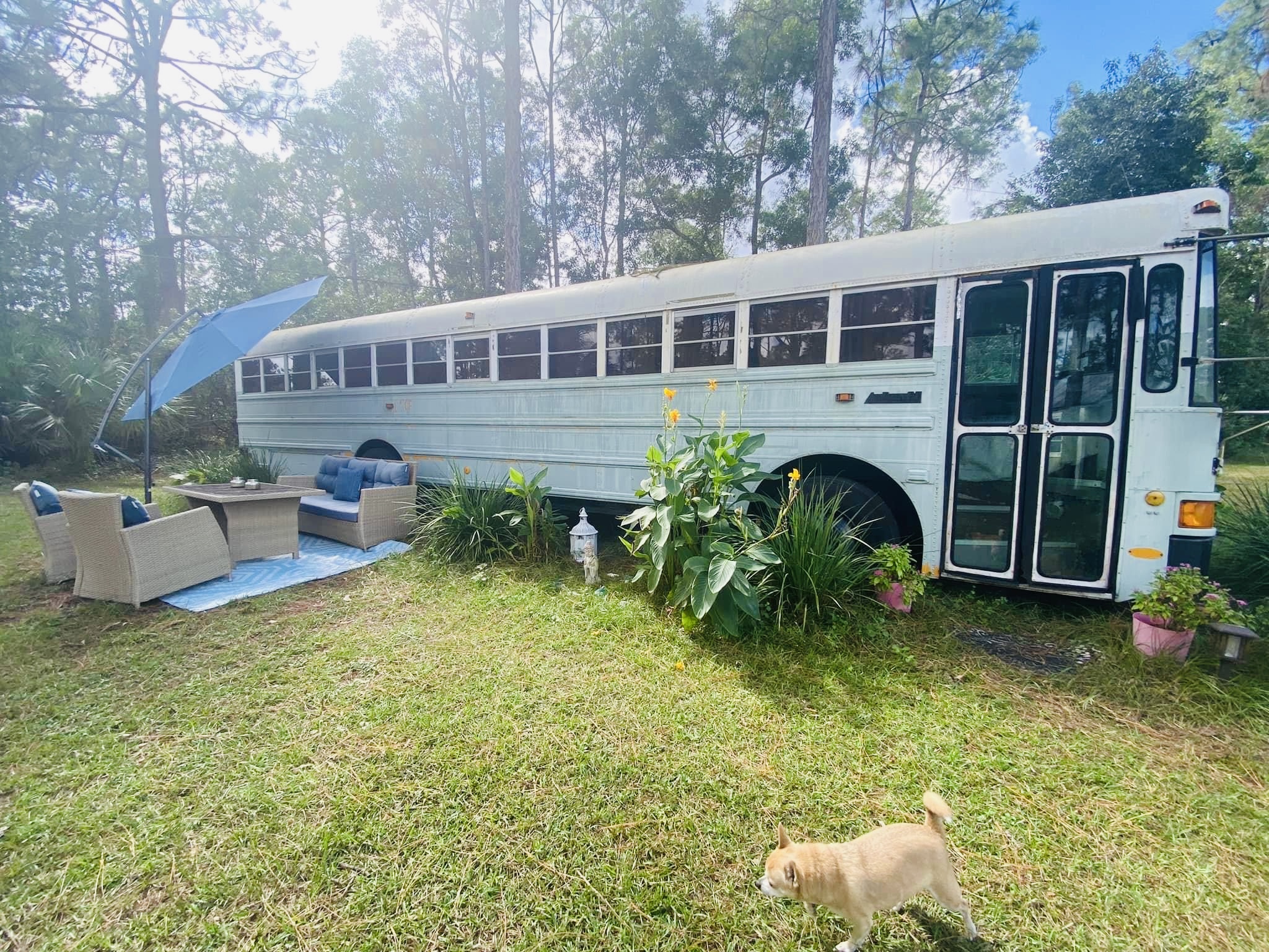 Boho Bus with Nature Views and Animals