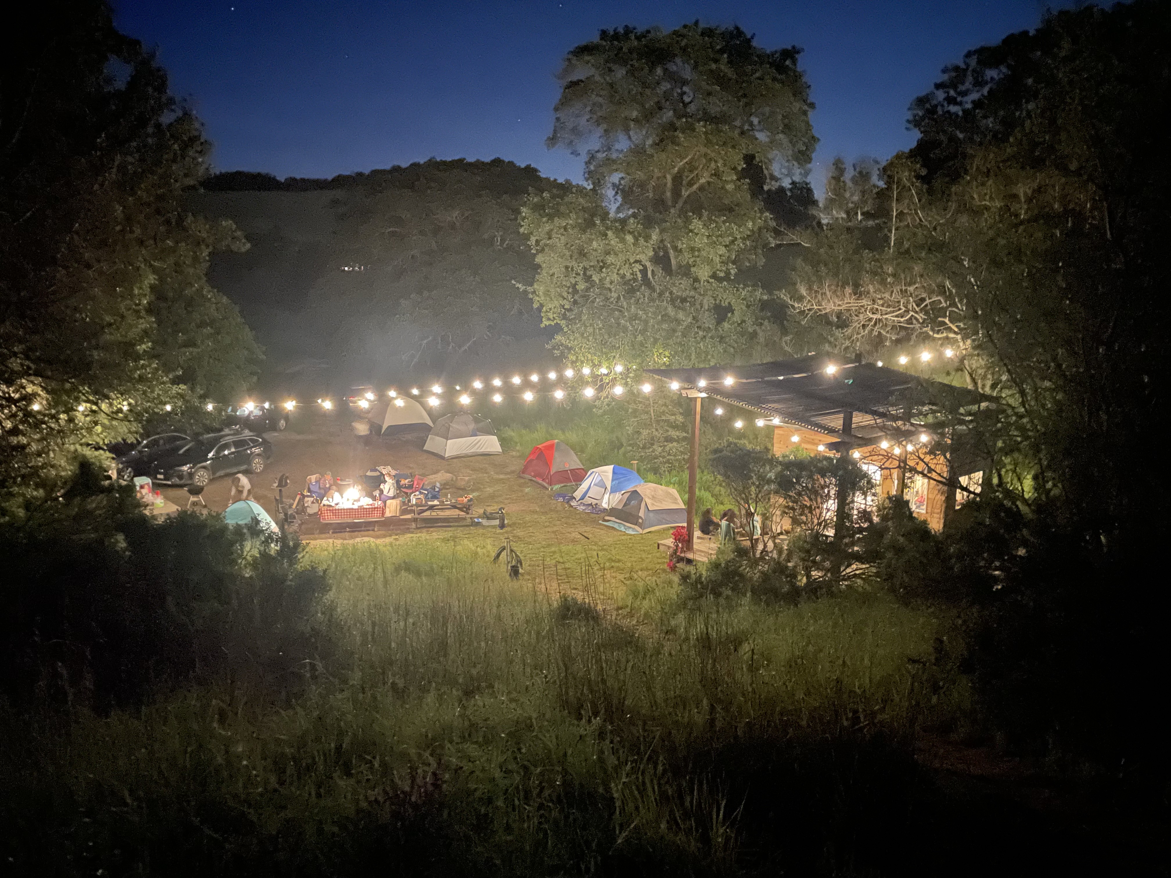 Sprawling Olive Tree Farm with Pond and Red Barn