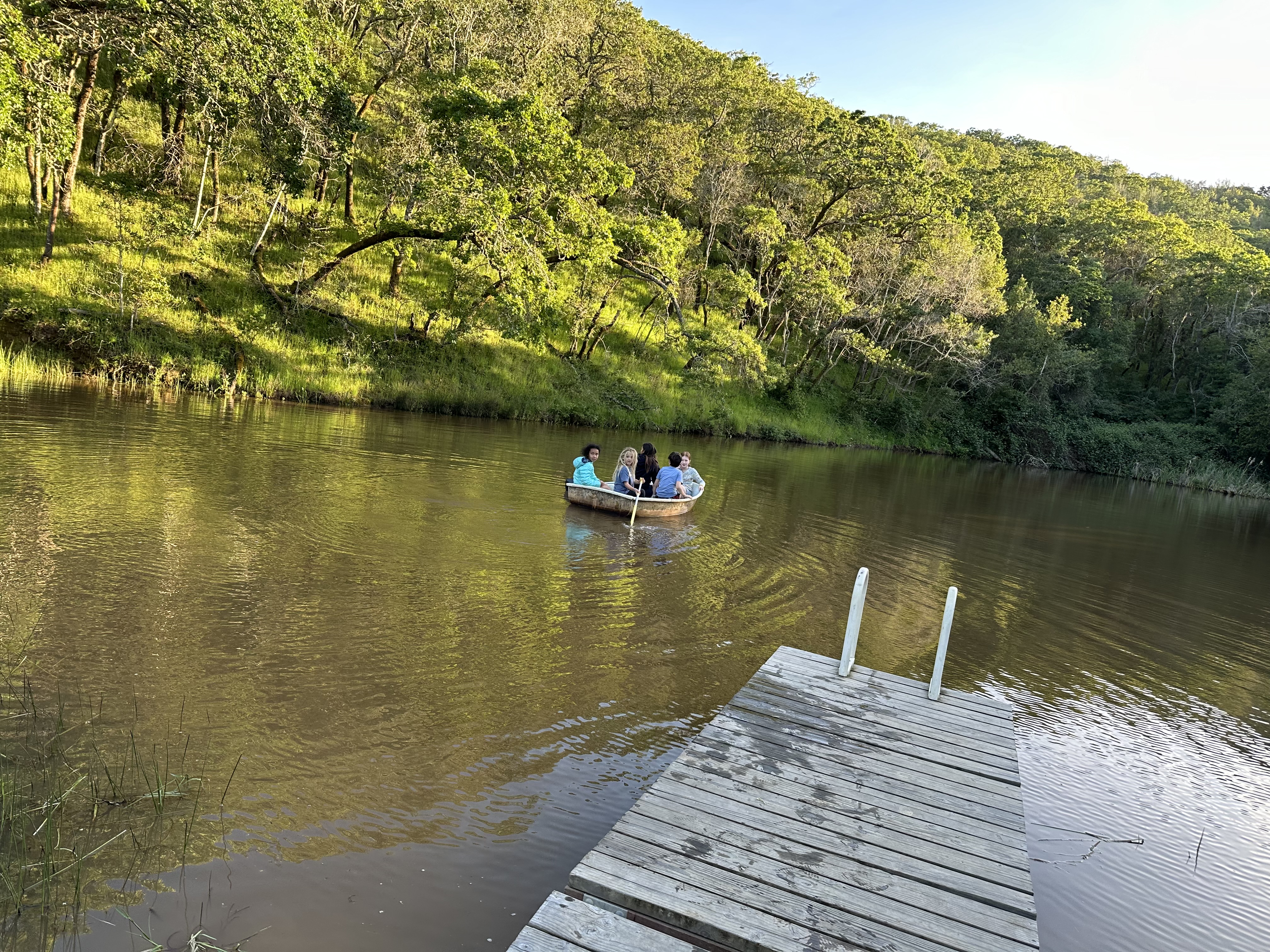 Sprawling Olive Tree Farm with Pond and Red Barn