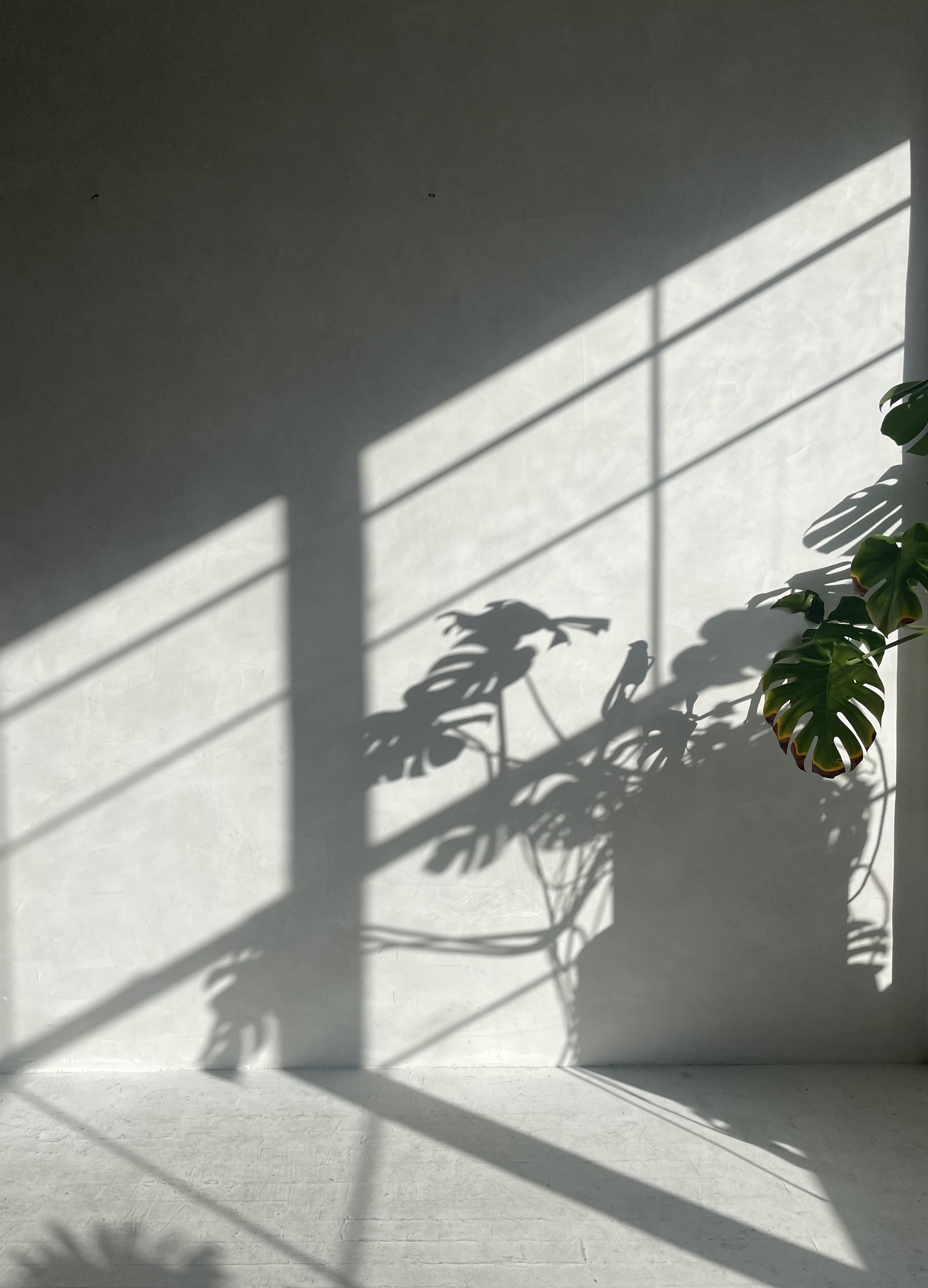 Bright & Sunny Matchbox Studio