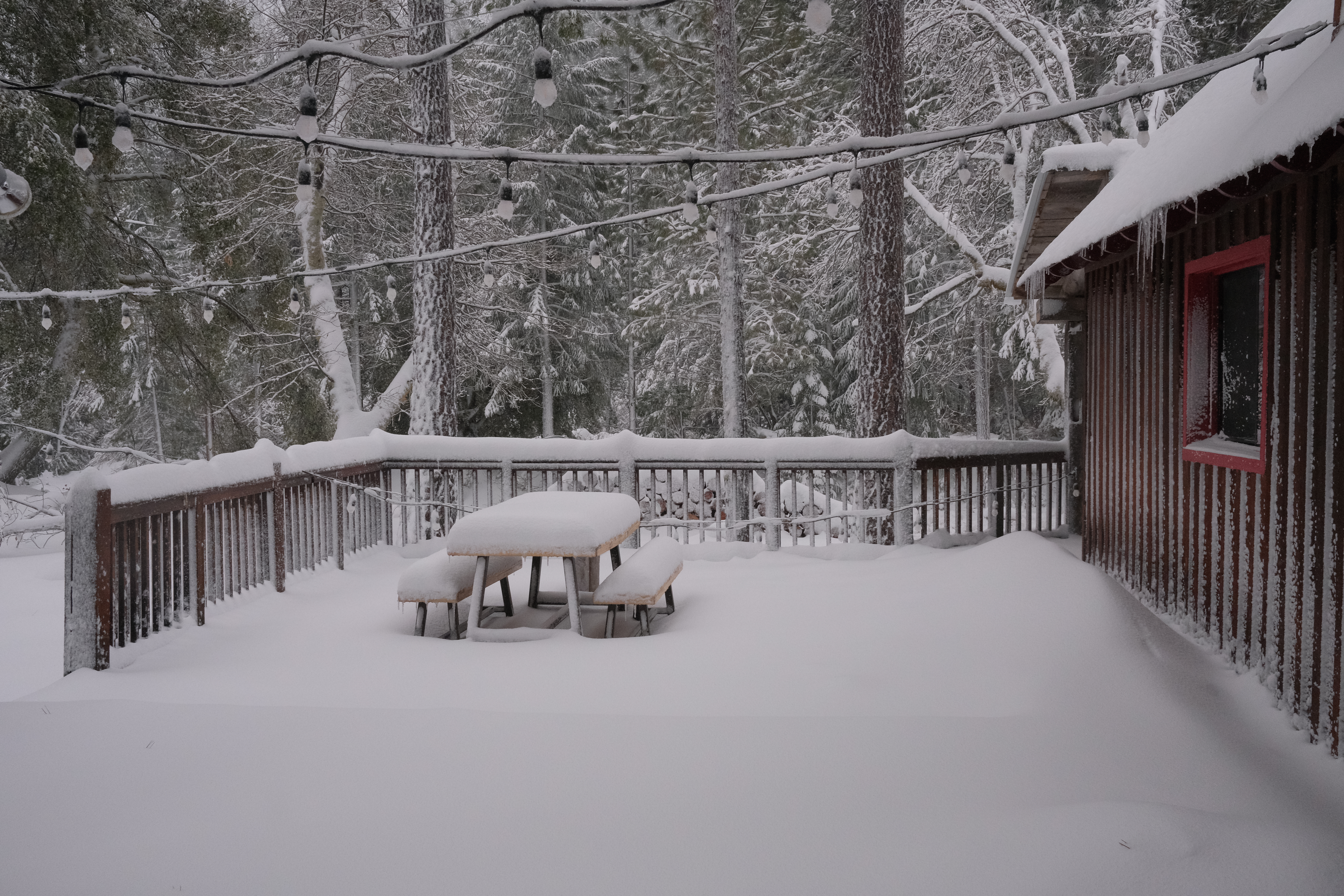 Cozy & Historic Lost Sierra Bungalow