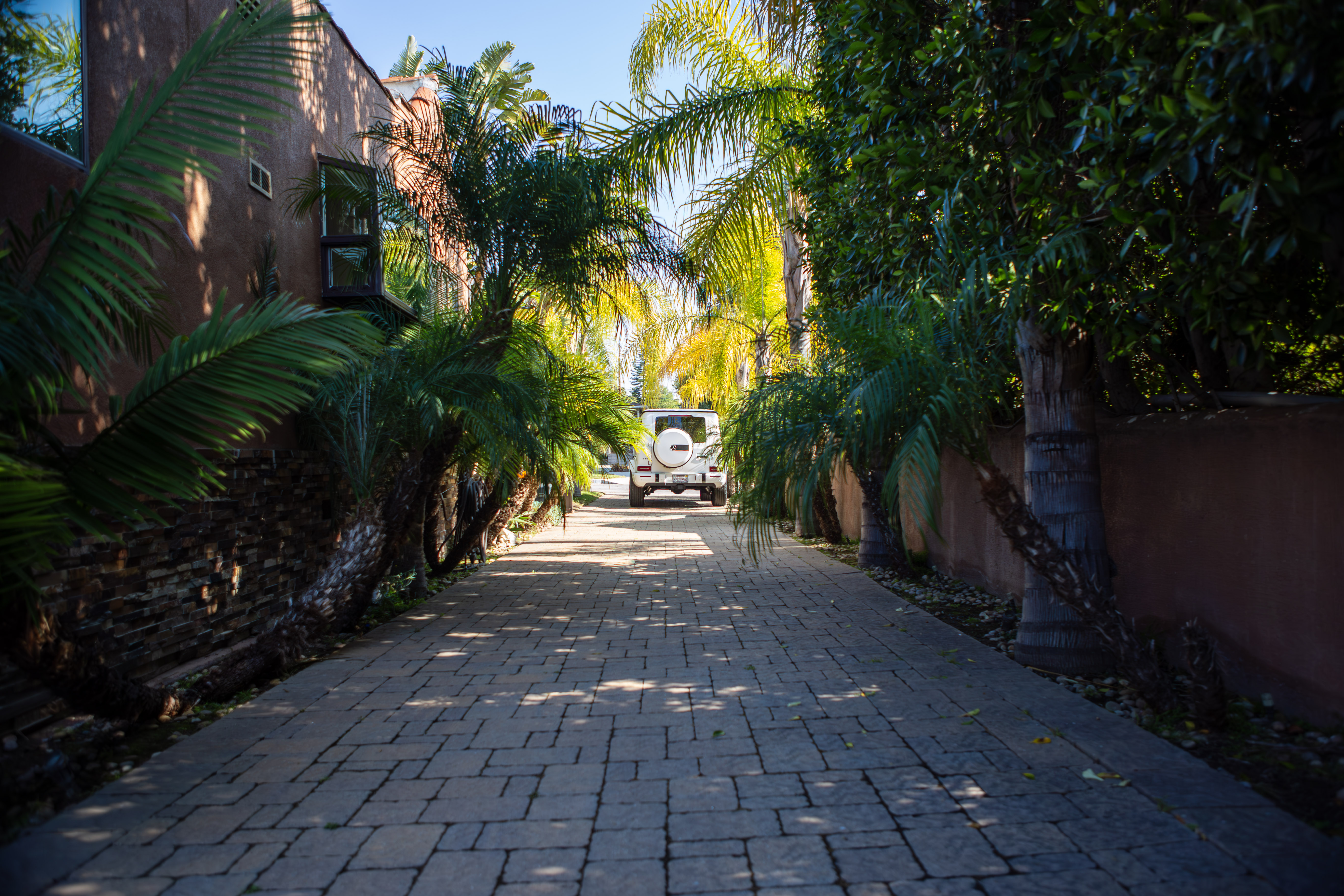 Morroccan/Palm Springs Vibe Pool & Backyard