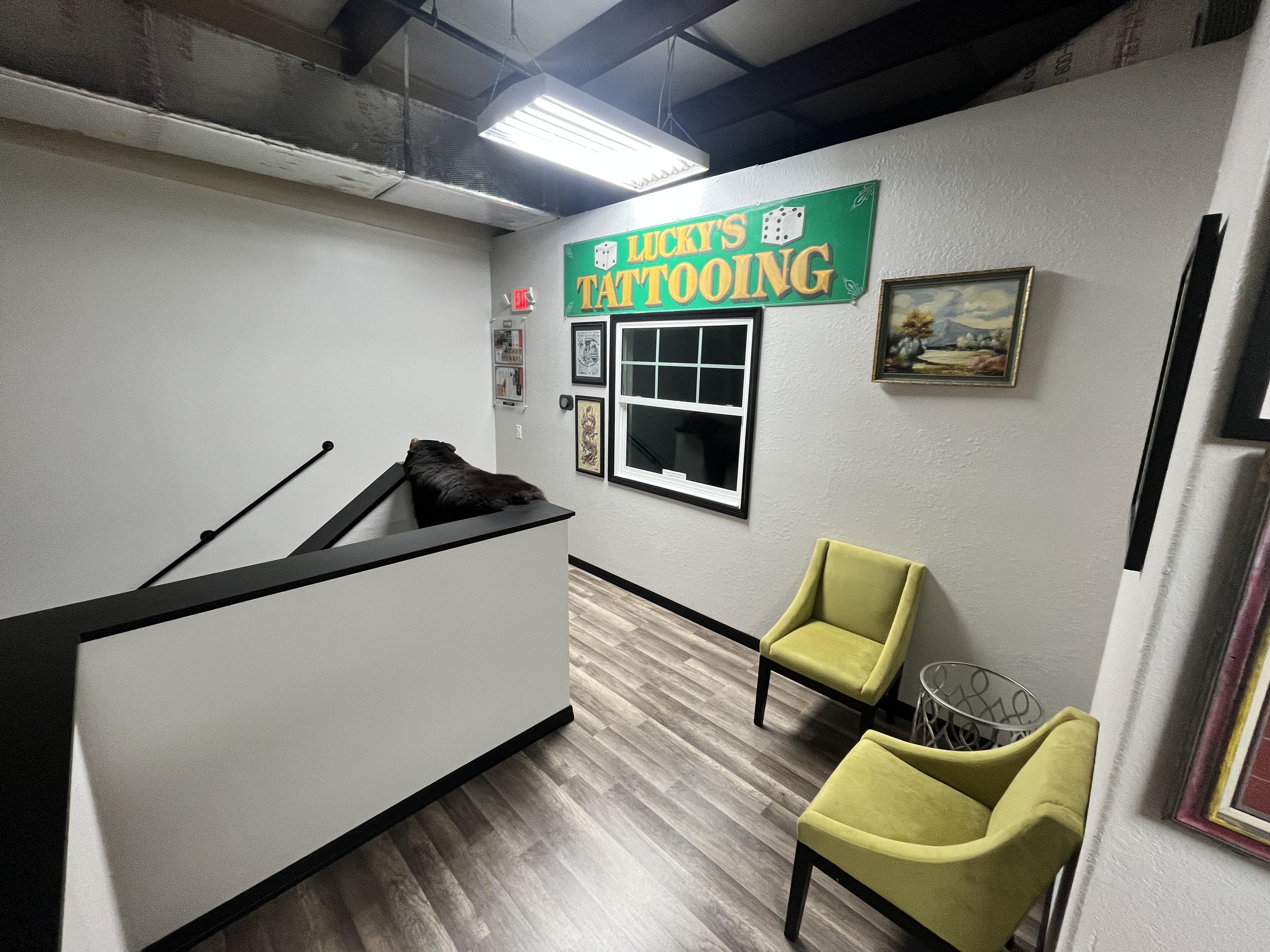 Tattoo Museum and Full Apartment