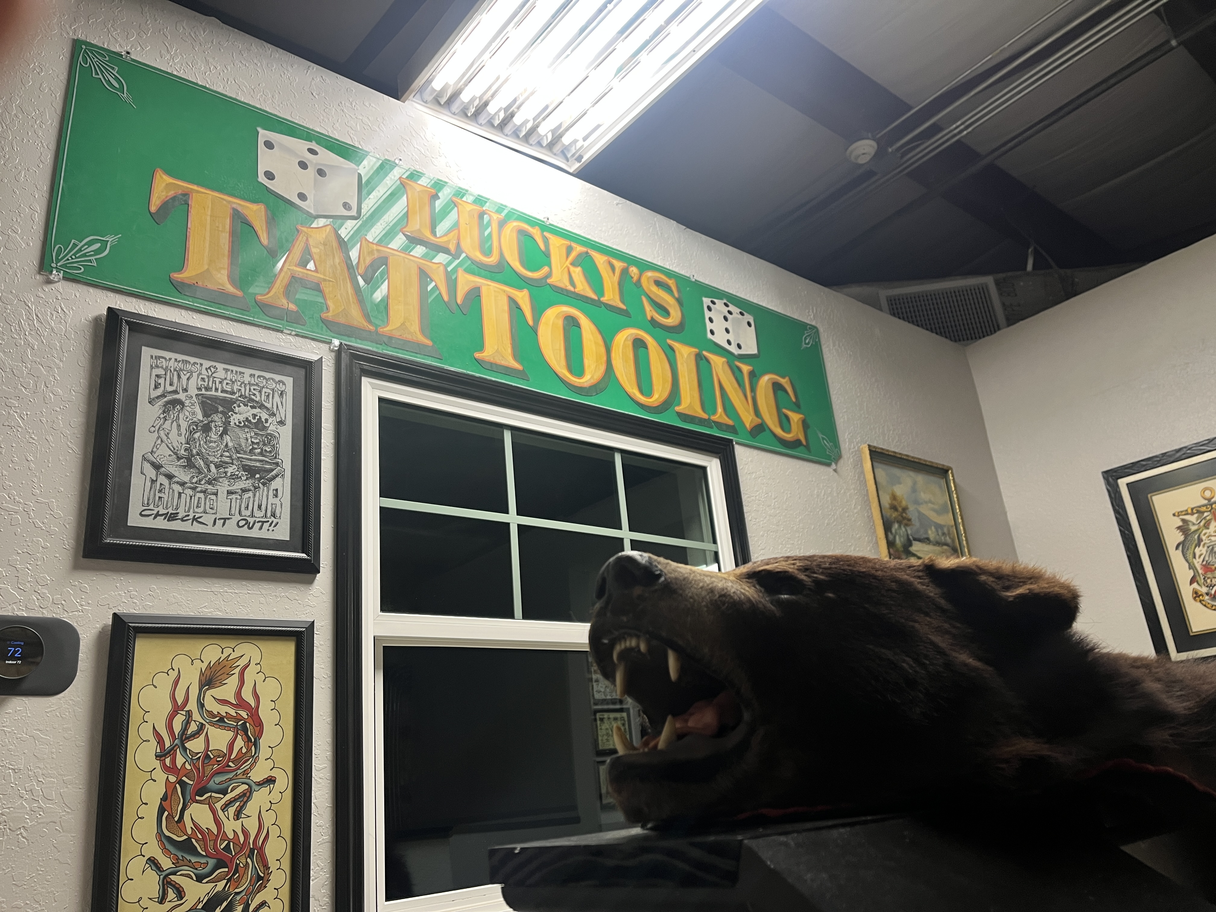 Tattoo Museum and Full Apartment