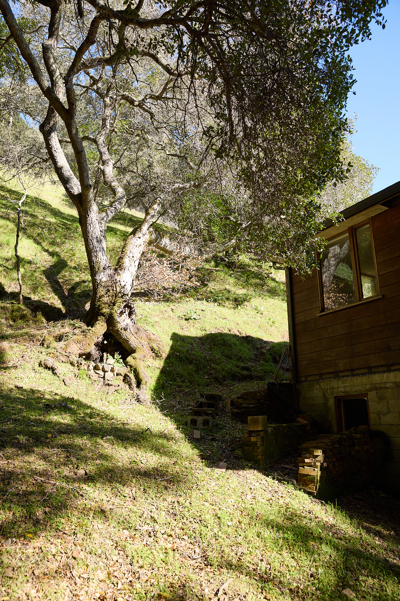 Unique Mid Century Hillside Hideaway