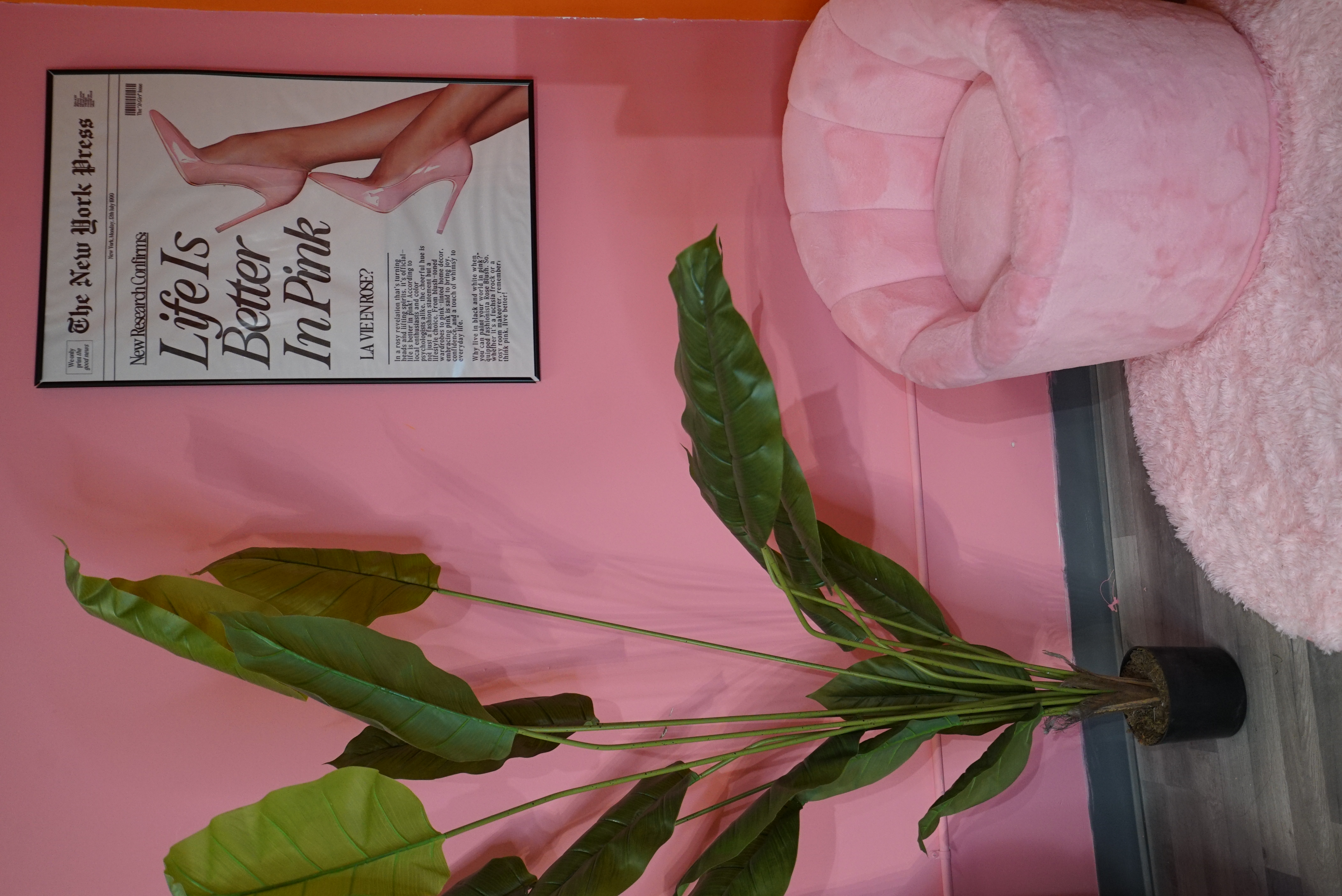 Multi-Color Content Room