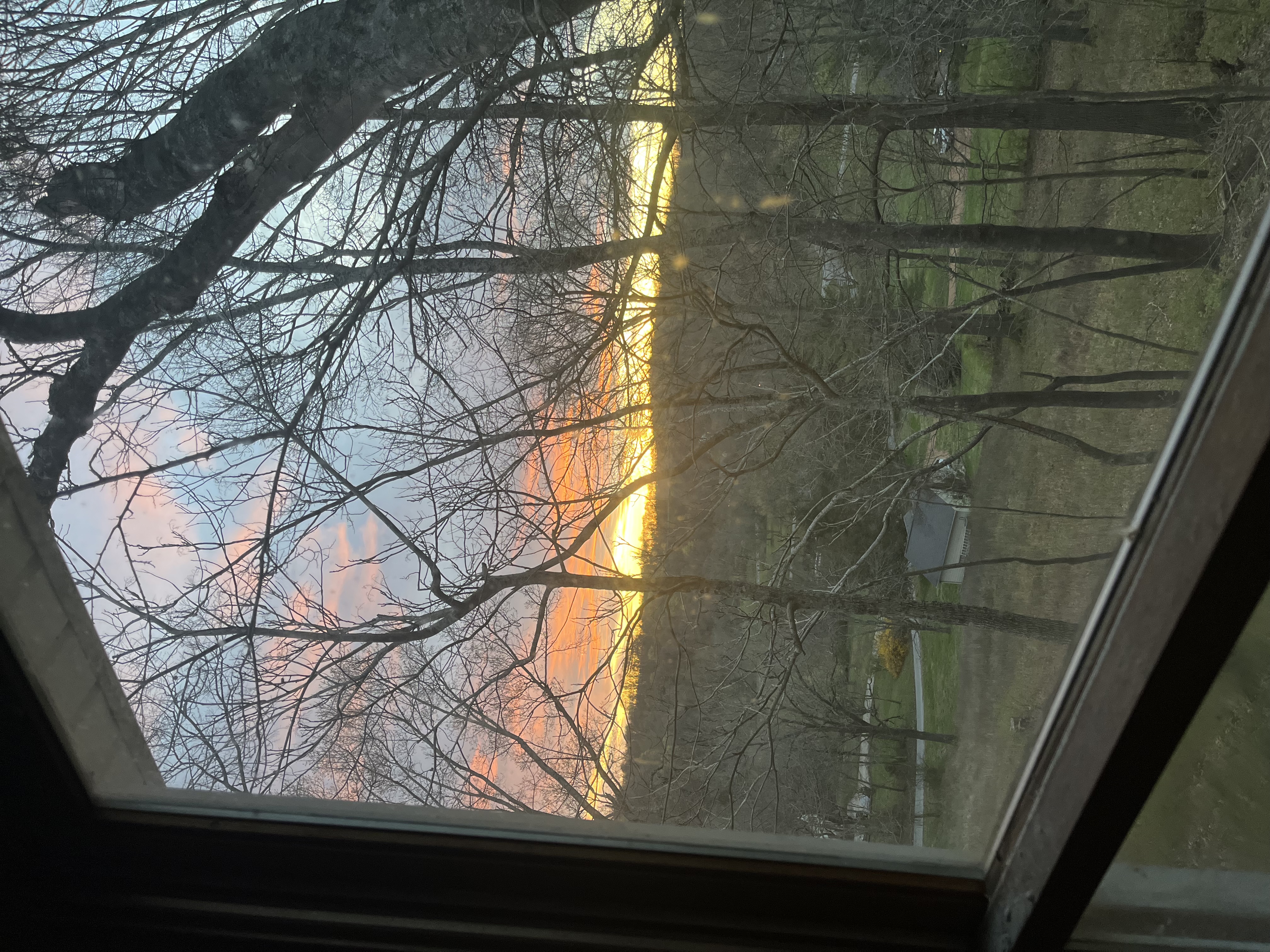 Bright ceramics studio with a hillside view