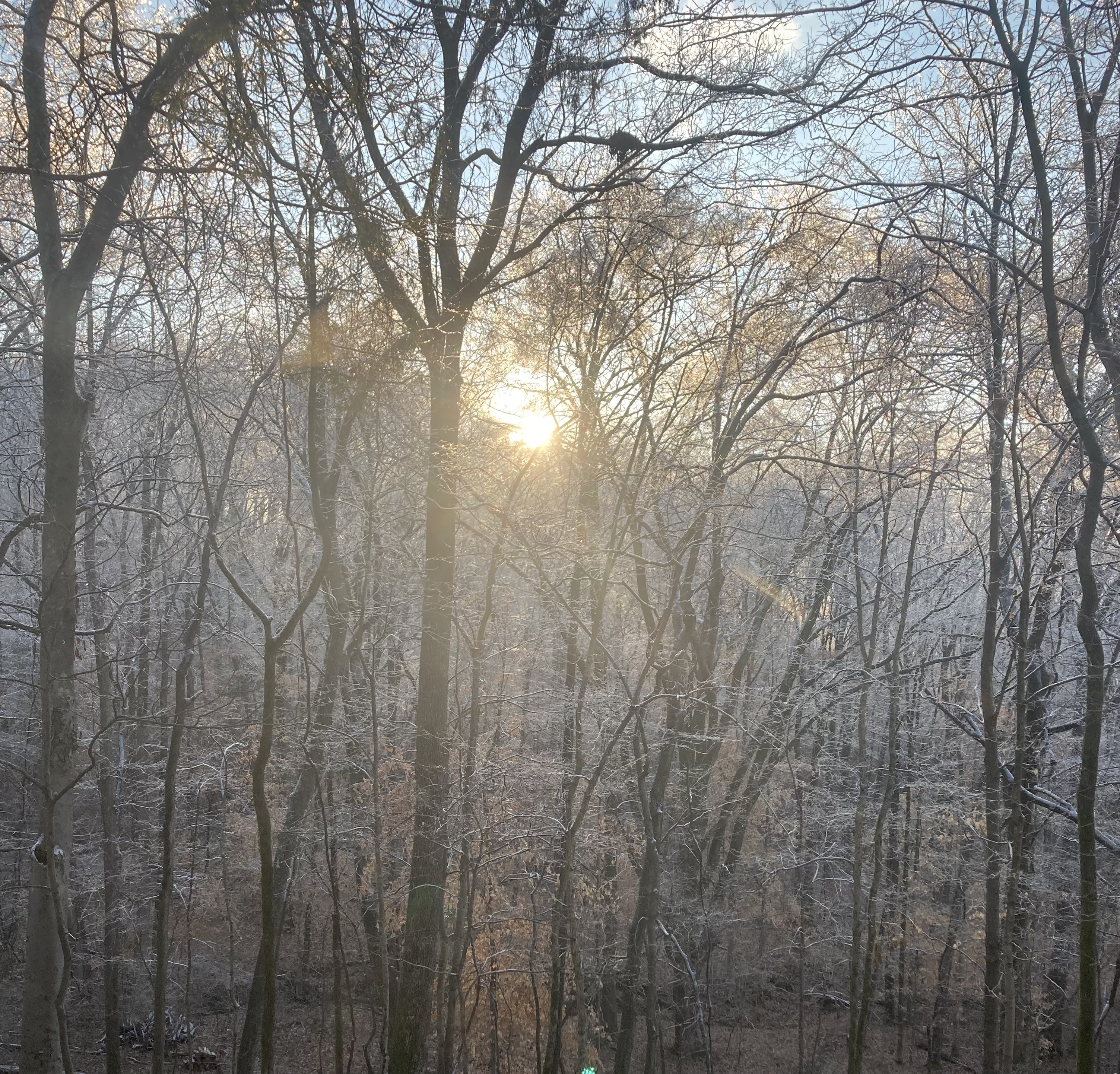 Bright and Warm Hilltop Colonial Home 