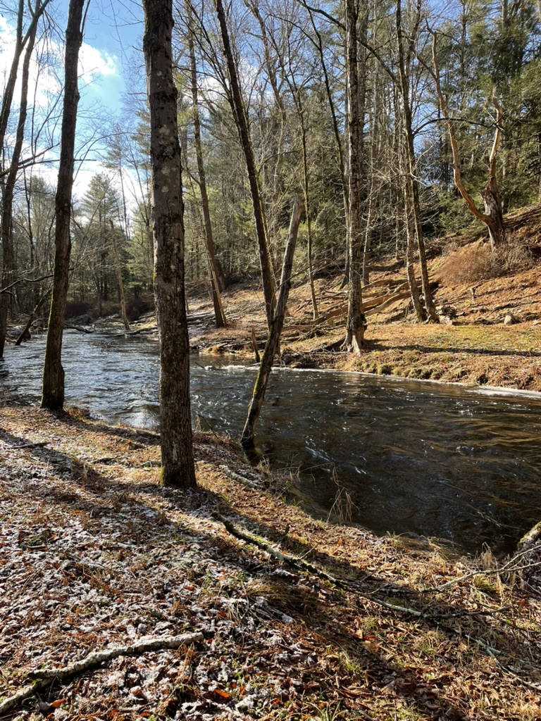 Secluded Designer Log Home in Forest on Large Stream