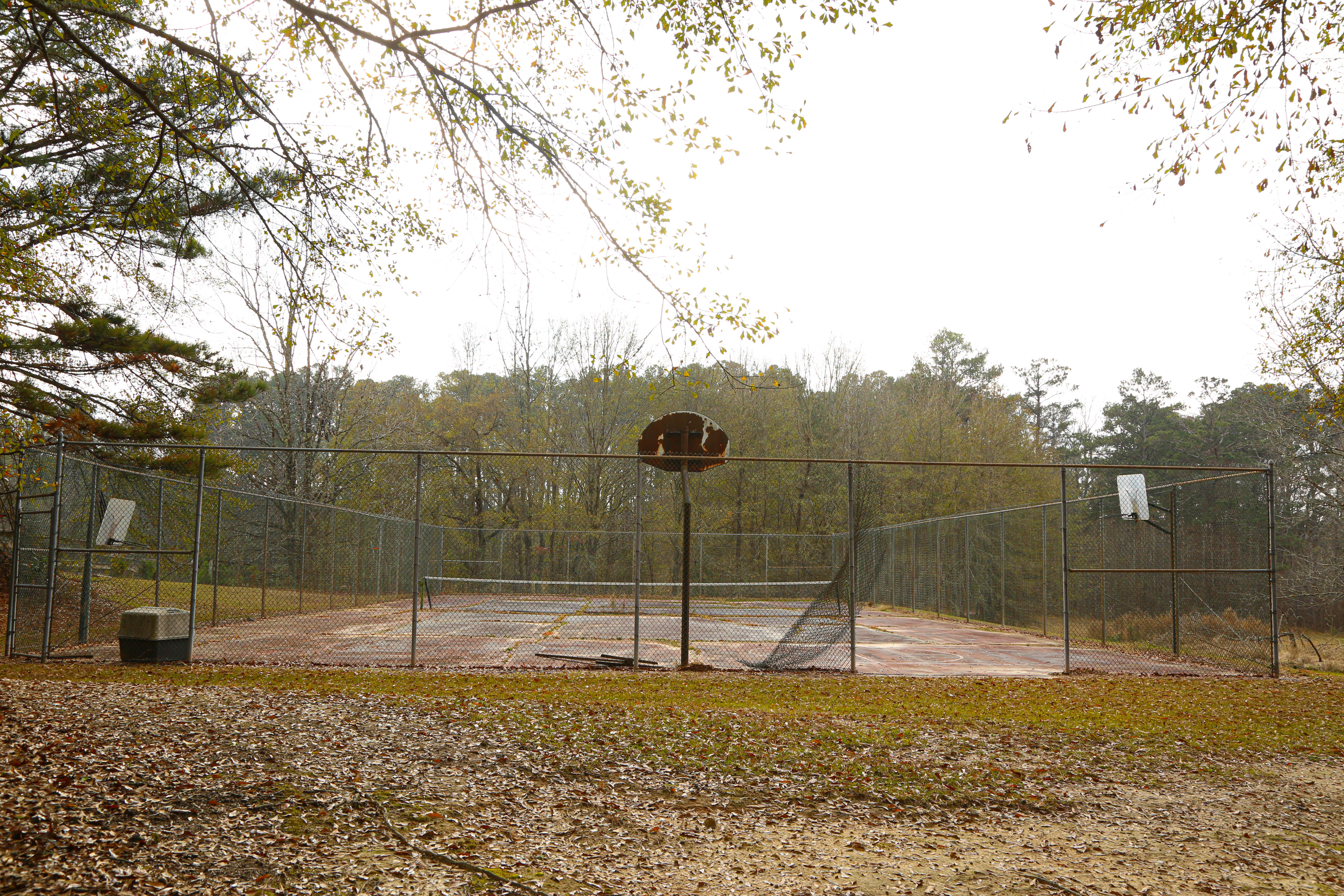 In Town 40 Acre Country Setting With Multiple Grungy Dilapidated Structures