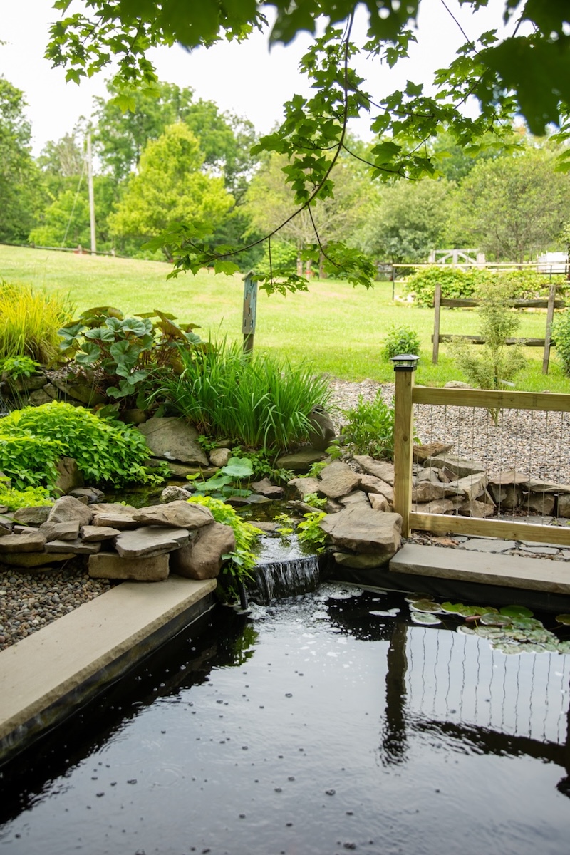 Lotuswood Organic Wellness Farm