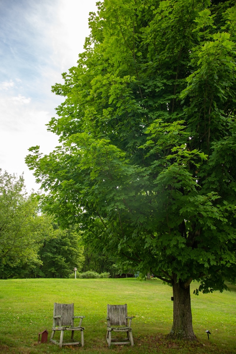 Lotuswood Organic Wellness Farm