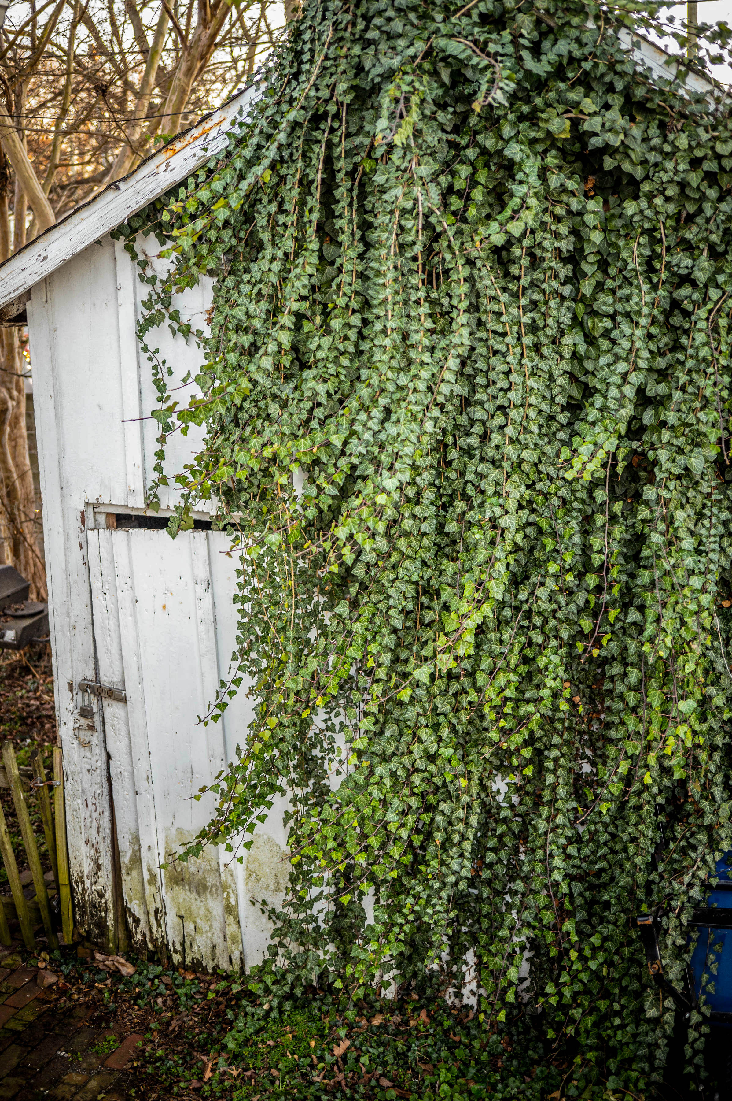 Haunted Victorian with Recording Studio