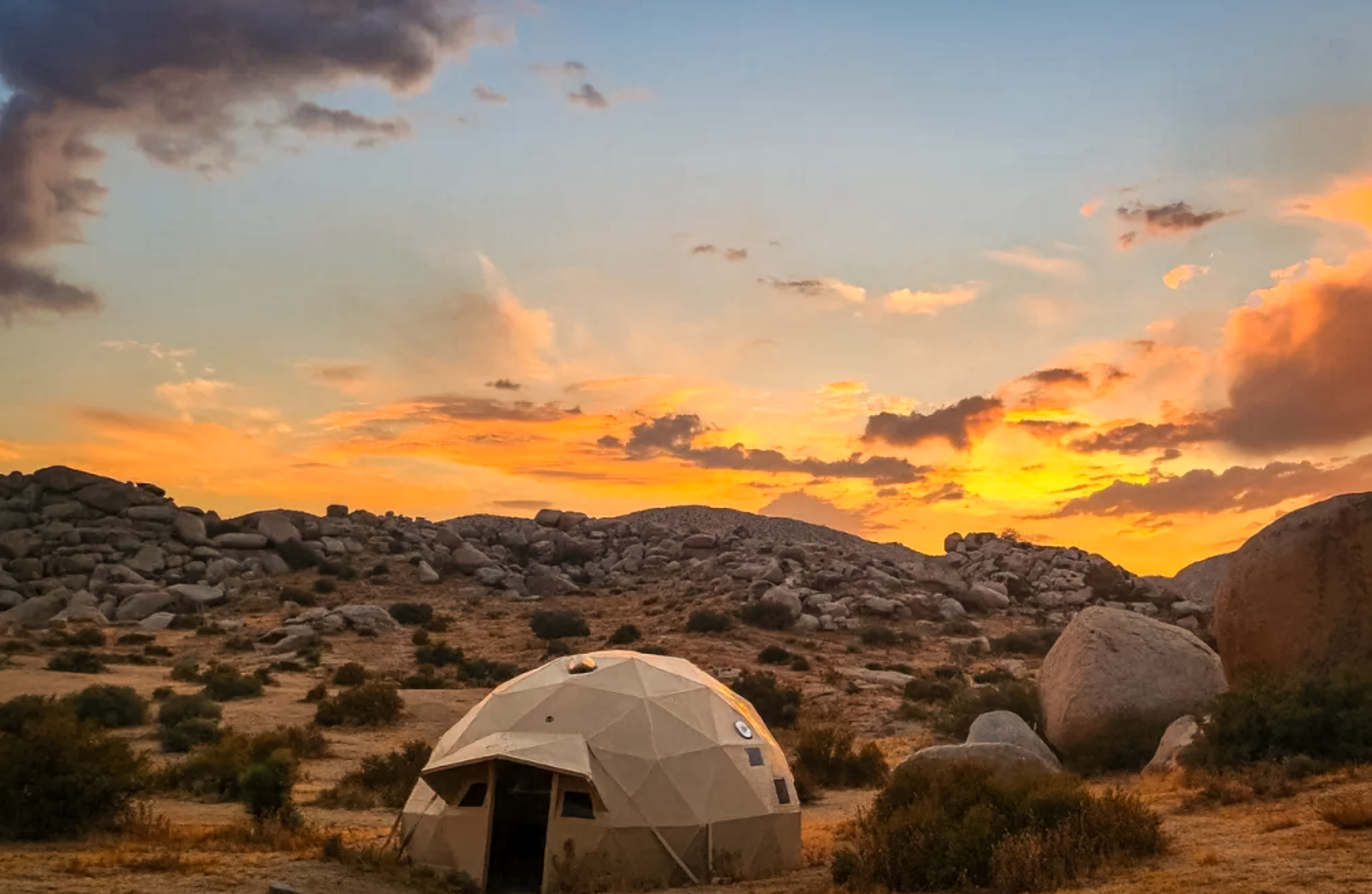 Joshua Tree Open Terrain Oasis