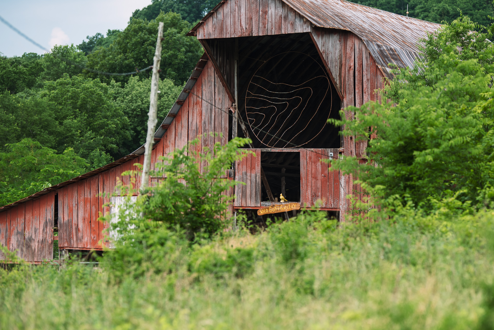 Yellow Bird Artscape