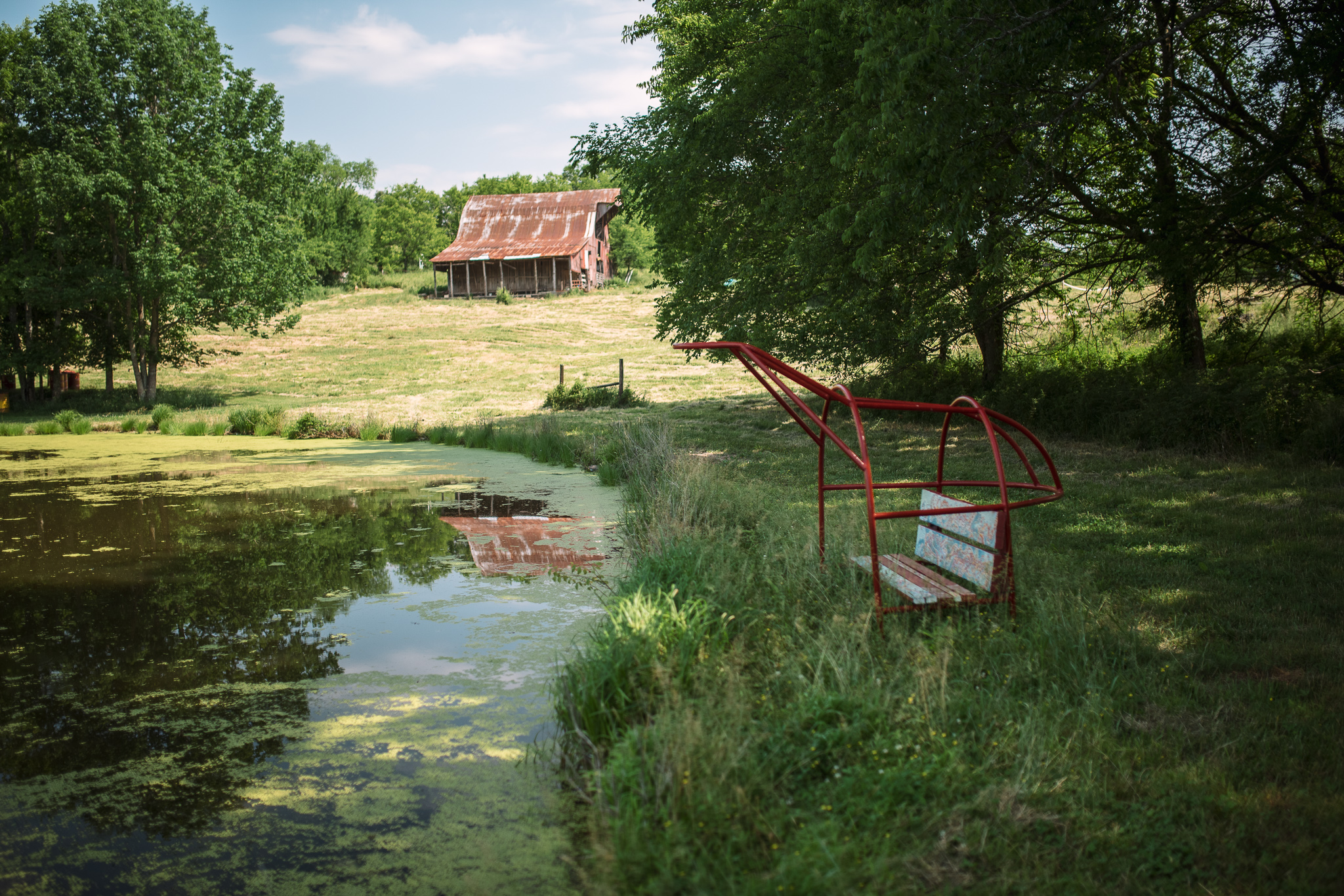 Yellow Bird Artscape