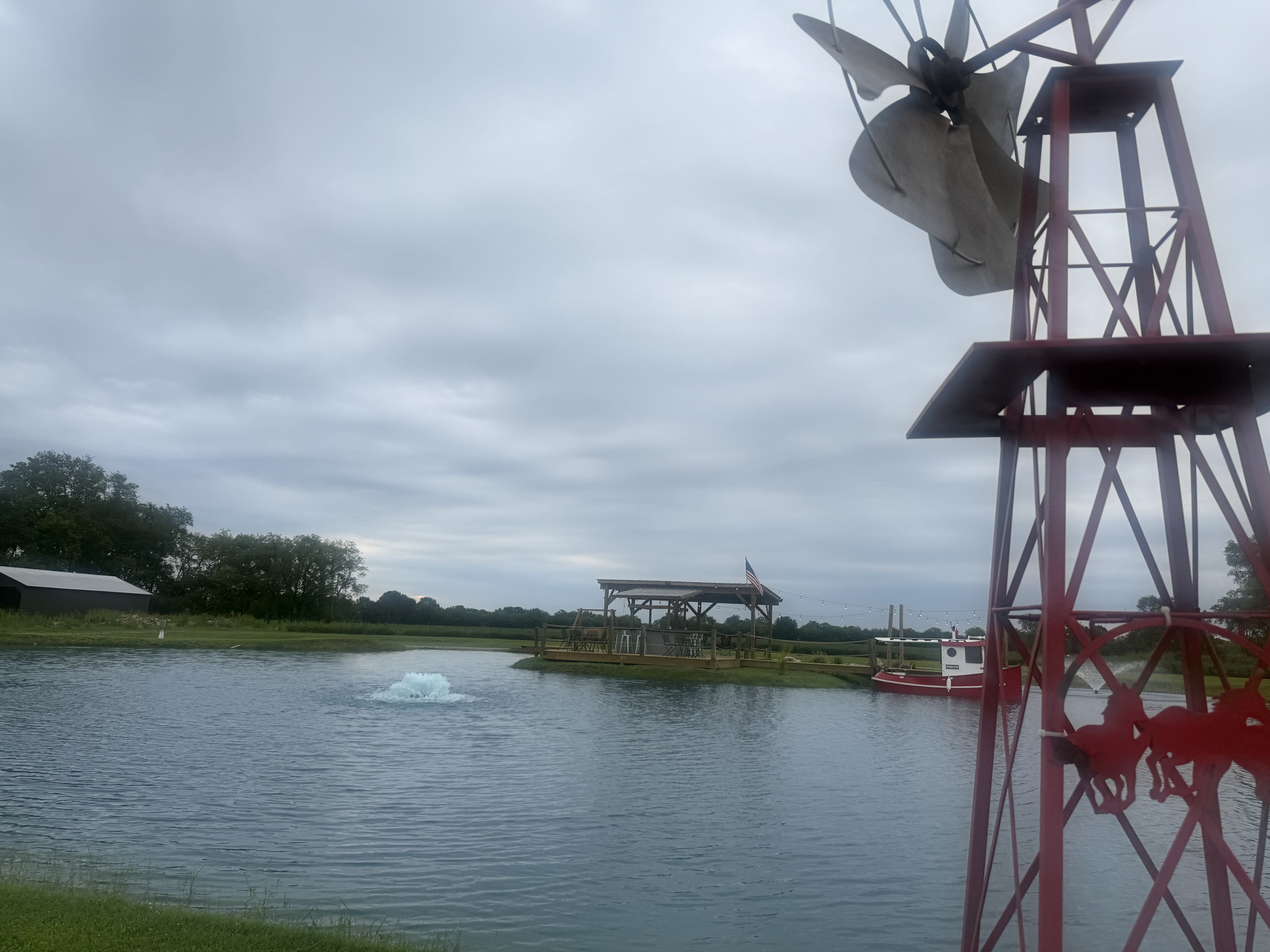 Dan T.